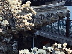 -何园
