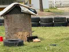 -前小桔亲子创意农场·草莓采摘·露营烧烤