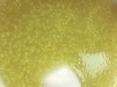-张记包子铺(龙禧园店)
