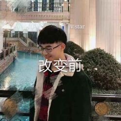 -V-STAR威斯达•高级私人定制