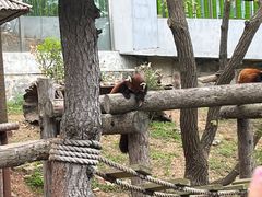 -大连森林动物园