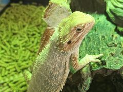 -合肥野生动物园