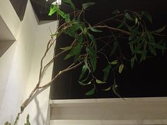 -春天来了(印象新天地店)