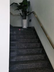 -YESIDO椰岛美容