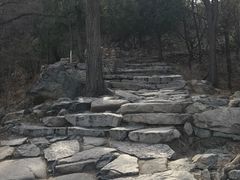 -北京鹫峰国家森林公园