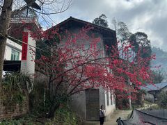 -樱桃山旅游景区