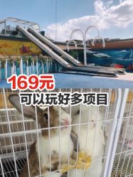 -小蜜蜂农场(凯德七宝购物广场店)