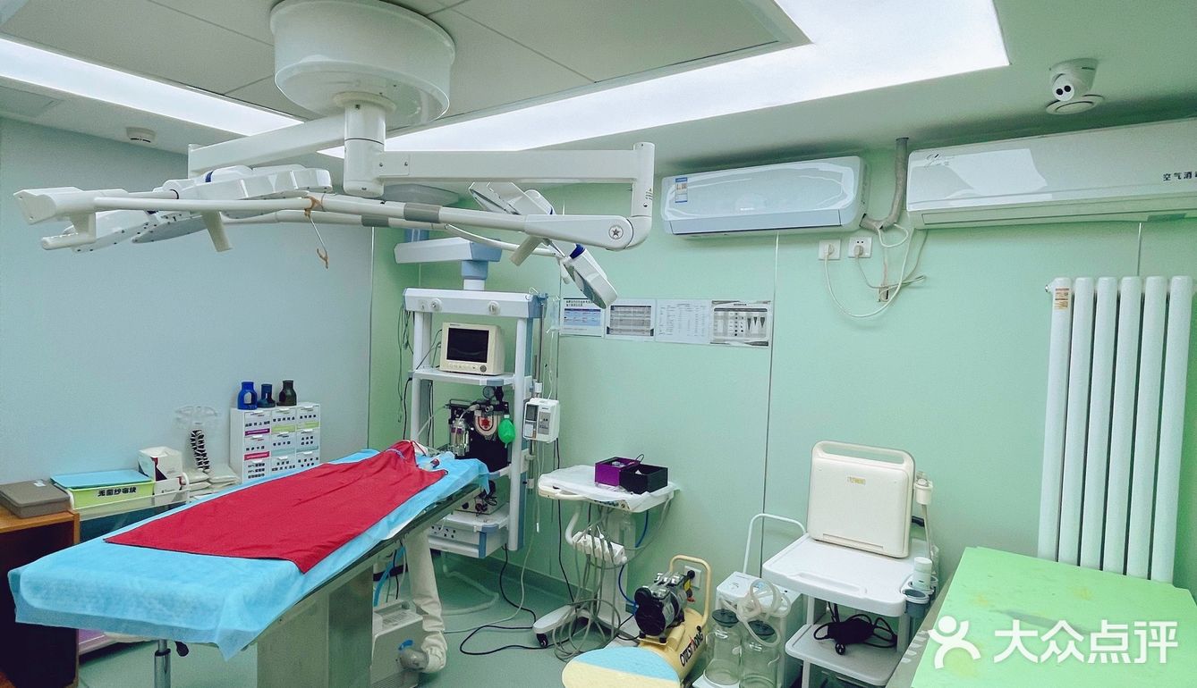 萌兔的一场健康之旅🚢｜关忠动物医院🏥