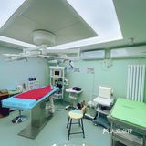 萌兔的一场健康之旅🚢｜关忠动物医院🏥