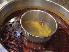 -金鼎雪山牦牛杂火锅(理县总店)