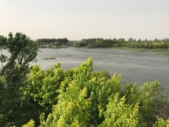 -东郊湿地公园