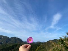 -九龙潭景区