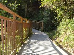 -野象谷景区
