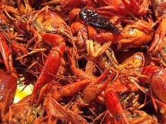 香辣小龙虾-庄老幺火锅(娄山关路店)