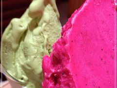 -野人先生现做冰淇淋(西安赛格店)