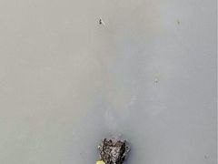-中国扬子鳄村
