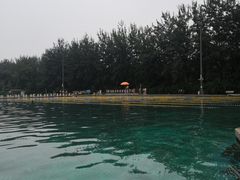 -柳浪游泳场