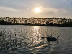 -大兴滨河森林公园