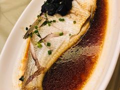 -张记旺角食街(动物园店)