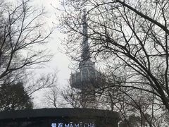 -MAMACHA妈妈茶(岳麓山店)