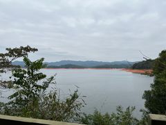 -广州市流溪河国家森林公园