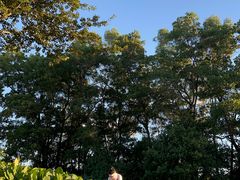 -观澜湖高尔夫球会