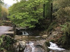 -山沟沟景区
