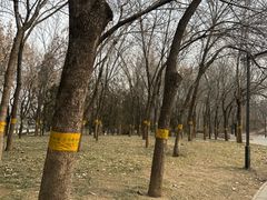 -元大都城垣遗址公园