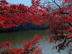 -龙道沟景区