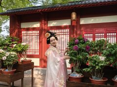 -太阳宫公园