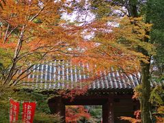 -醍醐寺