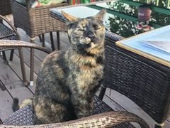 -EATALIA意塔利意式餐厅(鼓楼店)