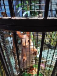 -酷嗒动物文化乐园(cutezoo西溪乐天城店)