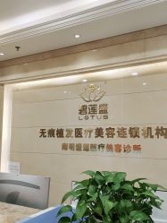 -碧莲盛·不剃发植发