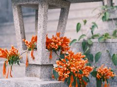 -福州开元寺