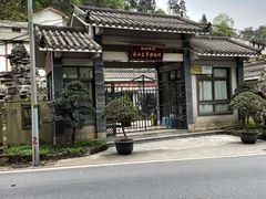 -南山植物园