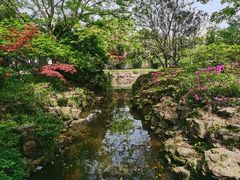-上海醉白池公园