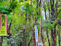 -虞山风景区