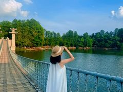 -东湖落雁景区