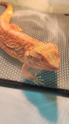 -酷嗒动物文化乐园(cutezoo西溪乐天城店)