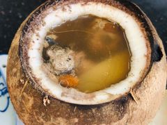 原只椰子炖竹丝鸡-達揚原味燉品(文明路店)