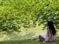 -沐仙湖湿地公园