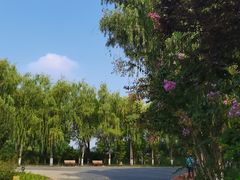 -大兴滨河森林公园