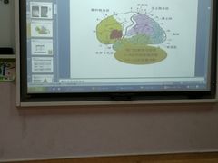 -瑞思少儿中心·少儿英语素养启蒙(回龙观校区)