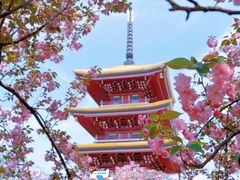 -东湖磨山景区