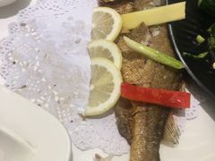 -骏莱海鲜鱼港(五角场店)