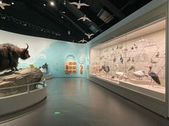 -中国湿地博物馆
