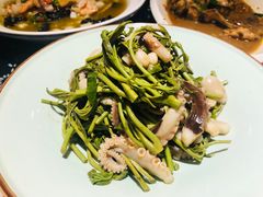 香椿拌章鱼-旺角小渔村·海肠捞饭开创者(二马路店)