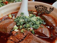 毛血旺-杨三娘跷脚牛肉(羊子山西路店)