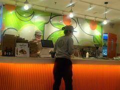 -油梨树 AVOCADO TREE(亮马桥店)